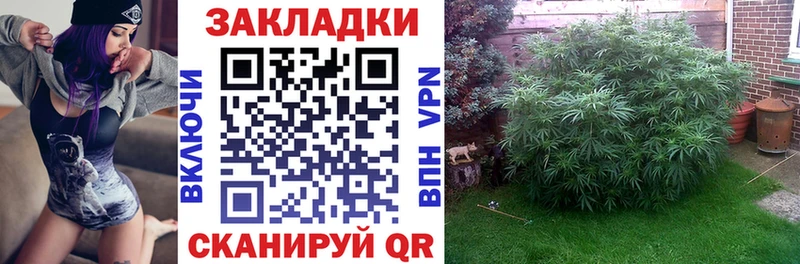 Что такое Курск Кокаин Меф СК ГАШИШ