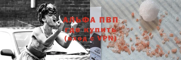 гидра Каменка