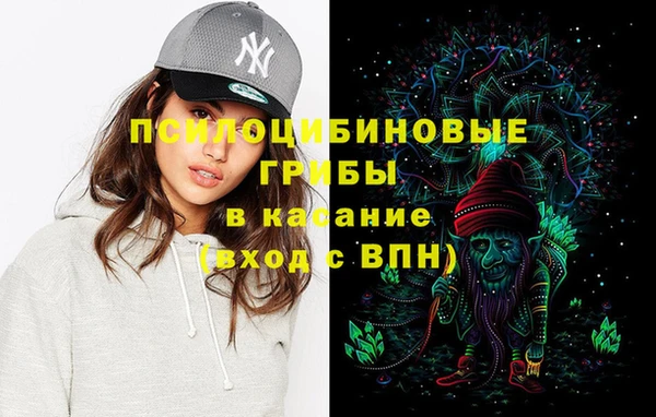 прущая мука Алзамай