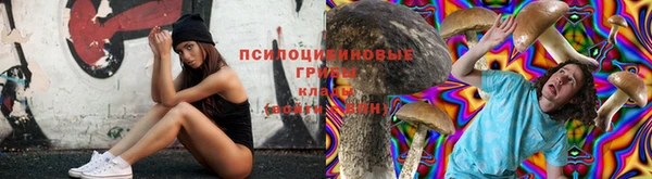 гидропоника Абдулино