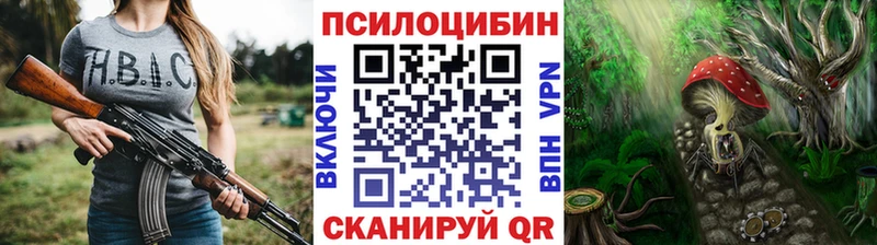 Галлюциногенные грибы Cubensis  Курск 