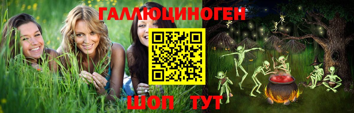 где купить наркоту  Галлюциногенные грибы MAGIC MUSHROOMS  Вход с VPN  Курск 